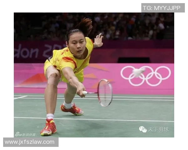 羽毛球女单比赛技术分析与全面训练计划优化策略 羽毛球女单比赛技术分析与全面训练计划优化策略